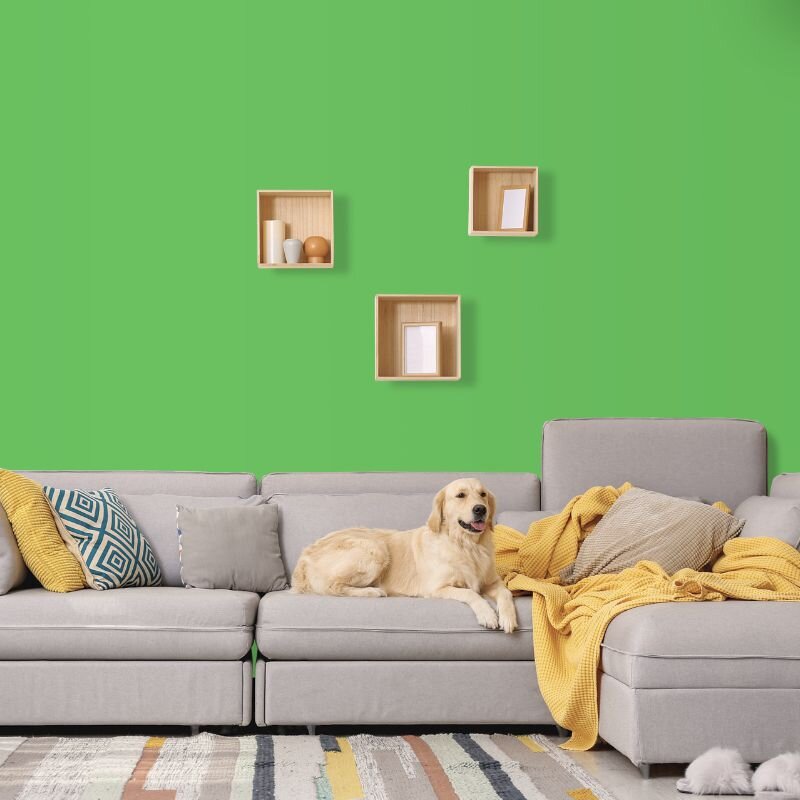 Wandfarbe Grün Dublin 2D Wallcover Colors S 1060-G20Y 2,5 Liter