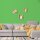 Wandfarbe Grün Dublin 2D Wallcover Colors S 1060-G20Y 2,5 Liter