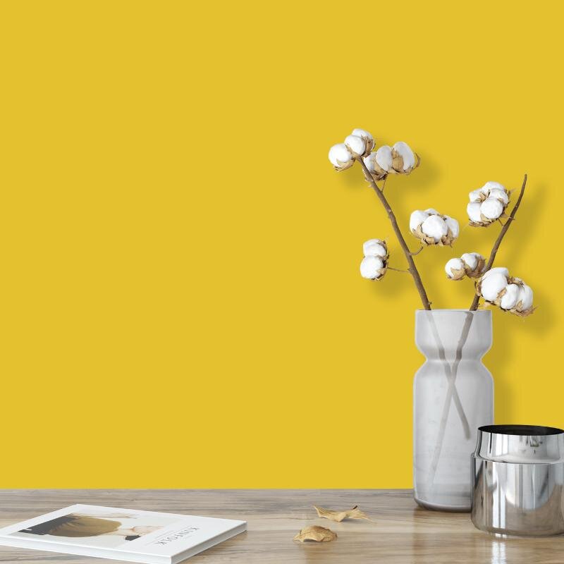 Wandfarbe Sonnengelb Tanami 3E Wallcover Colors S 1070-Y 2,5 Liter