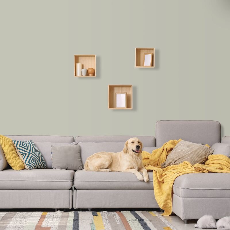 Wandfarbe Graugrün Grau hell Shadow 2B Wallcover Colors S 2005-G60Y 2,5 Liter