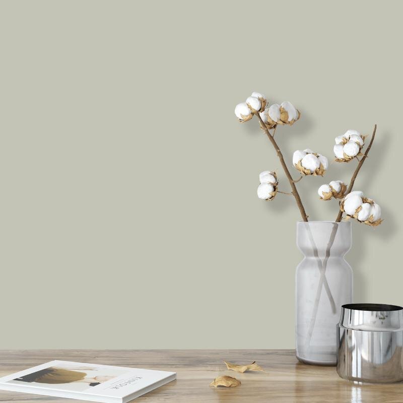 Wandfarbe Graugrün Grau hell Shadow 2B Wallcover Colors S 2005-G60Y 2,5 Liter