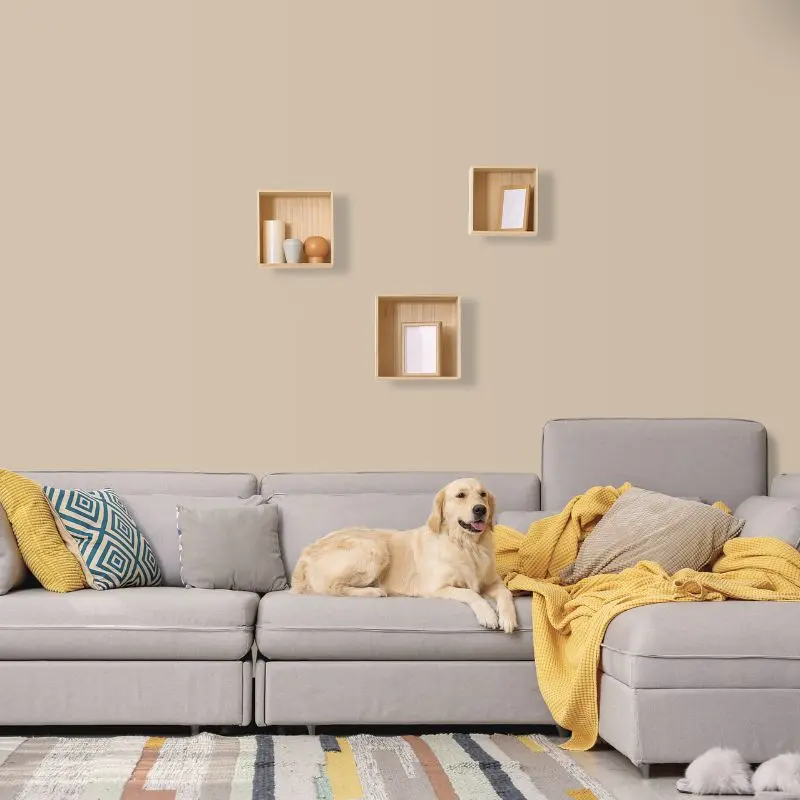 Wandfarbe Sand Hellbraun Light 6C Wallcover Colors S 2010-Y20R 2,5 Liter