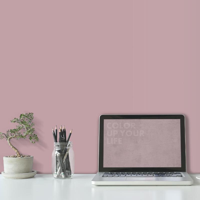 Wandfarbe Altrosa Rosé Piccadilly 5B Wallcover Colors S 2020-R10B 2,5 Liter