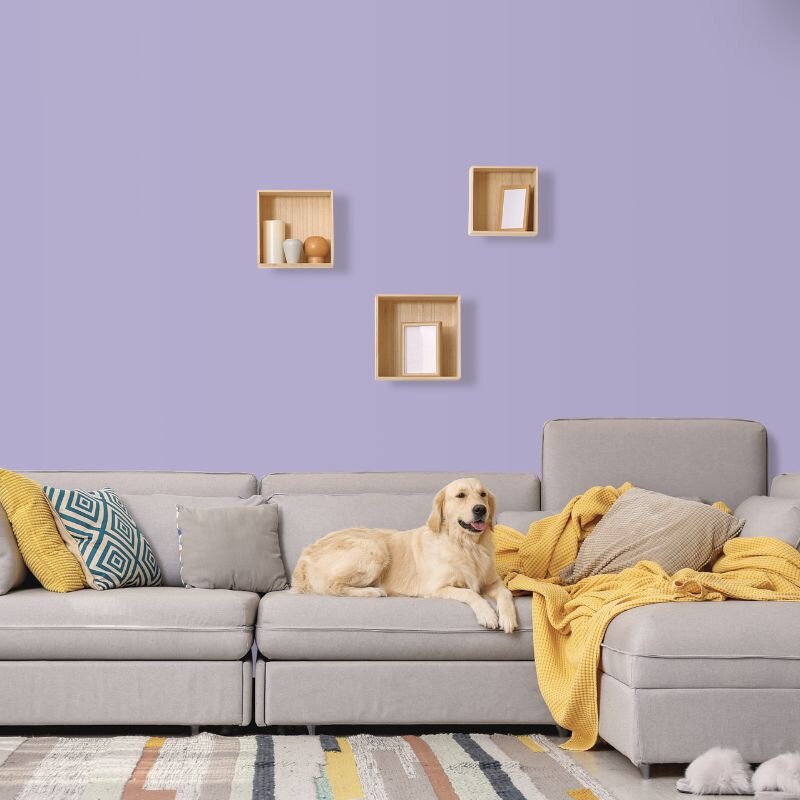 Wandfarbe Flieder Lila Pastell Puerto 3B Wallcover Colors S 2020-R60B 2,5 Liter