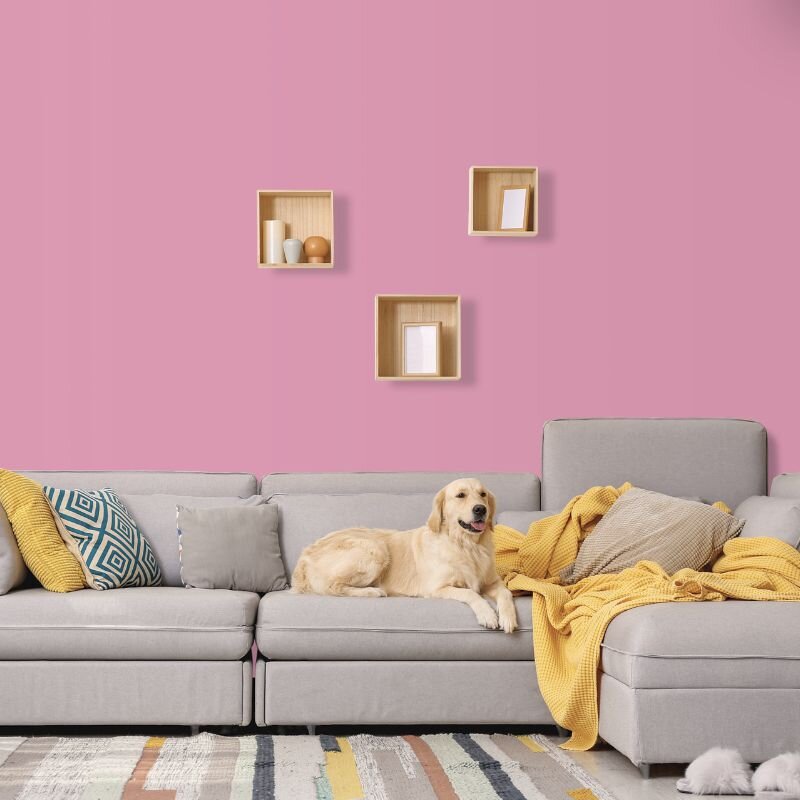 Wandfarbe Pink Pretty Pink 2C Wallcover Colors S 2030-R30B 2,5 Liter