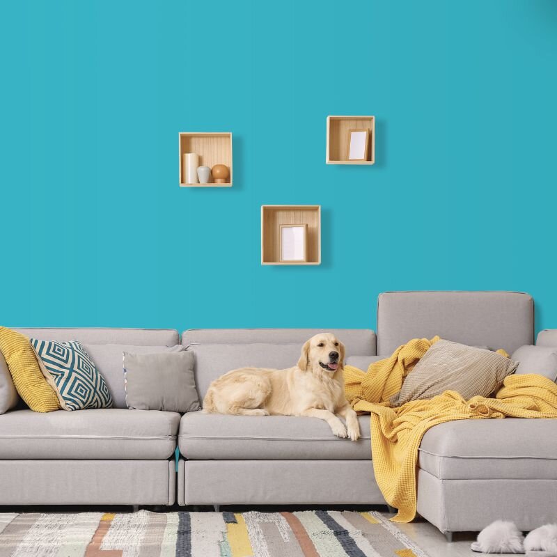 Wandfarbe Türkis-Blau Aqua Trinidad 1E Wallcover Colors S 2040-B20G 2,5 Liter