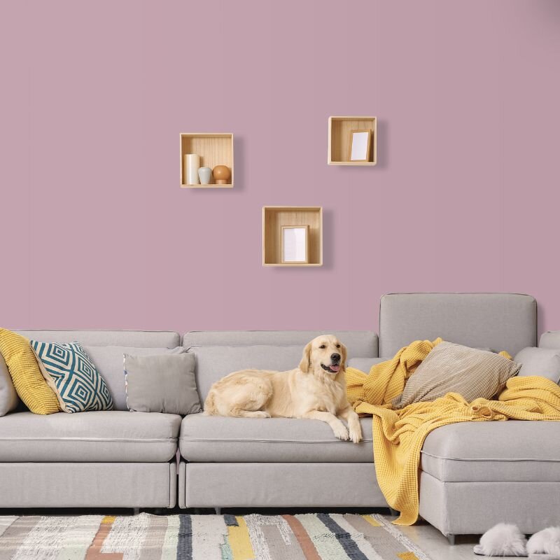 Wandfarbe Rosé Flieder English Rose 5C Wallcover Colors S 3010-R10B 2,5 Liter