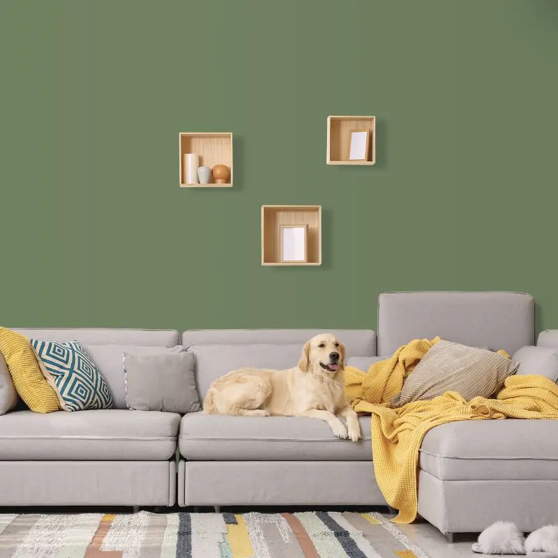 Wandfarbe Dunkelgrün Olivgrün Donegal 5E Wallcover Colors S 5020-G30Y 2,5 Liter