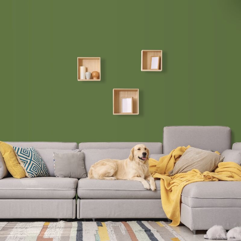 Wandfarbe Dunkelgrün Olivgrün Donegal 5F Wallcover Colors S 5030-G50Y 2,5 Liter