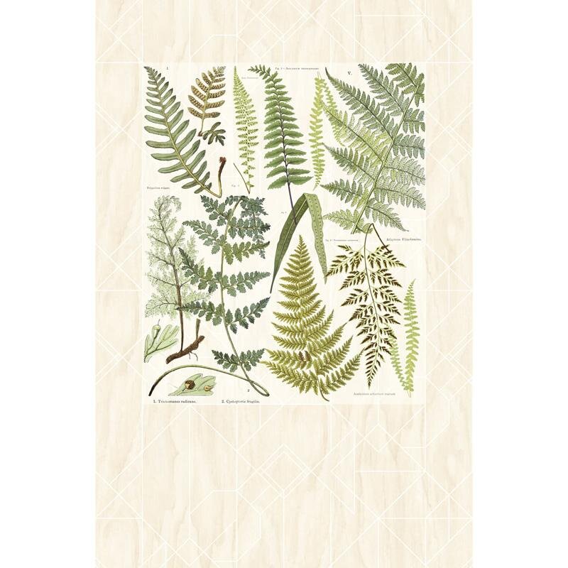 Digitaldruck-Tapete Beige, Creme, Grün Eijffinger (1021147)