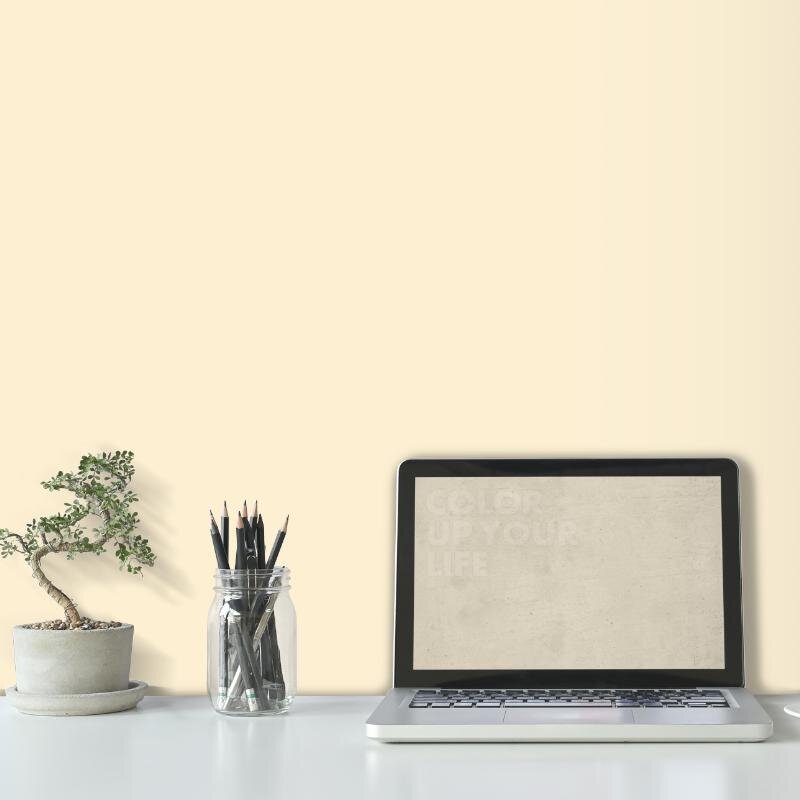 Wandfarbe Weiß-Gelb Blassgelb Mojave 2A Wallcover Colors S 0510-Y 5 Liter