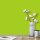 Wandfarbe Hellgrün Frühlingsgrün Donegal 1E Wallcover Colors S 0575-G40Y 5 Liter