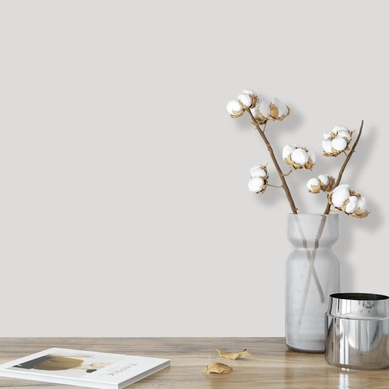 Wandfarbe Hellgrau Lichtgrau Moon 1A Wallcover Colors S 1000-N 5 Liter