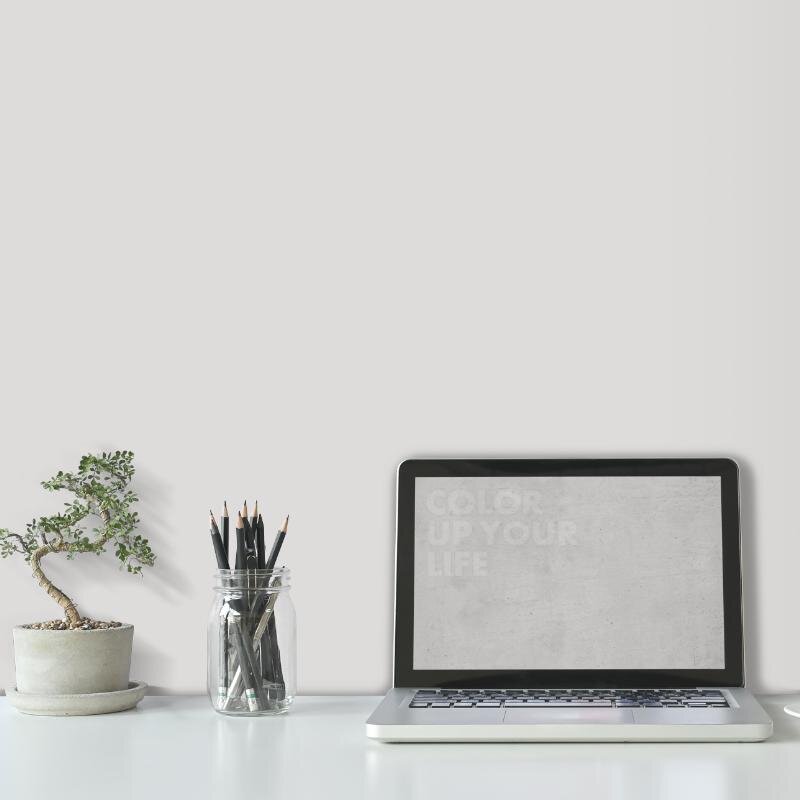 Wandfarbe Hellgrau Lichtgrau Moon 1A Wallcover Colors S 1000-N 5 Liter