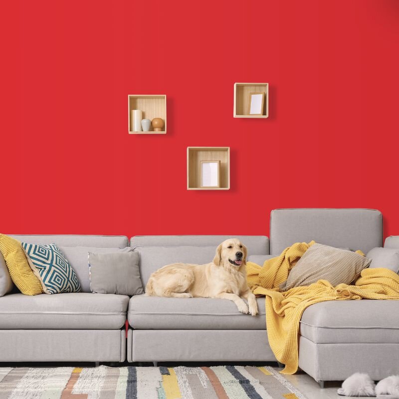 Wandfarbe Rot Firenze 1F Wallcover Colors S 1080-Y90R 5 Liter