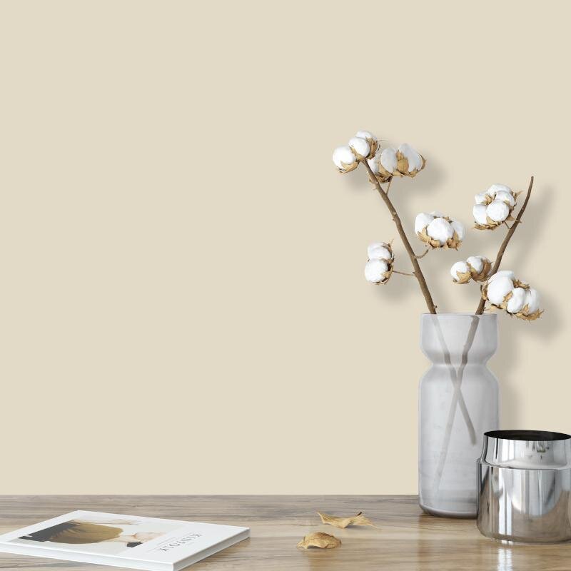 Wandfarbe Sand Creme Beige Light 6B Wallcover Colors S 1505-Y 5 Liter