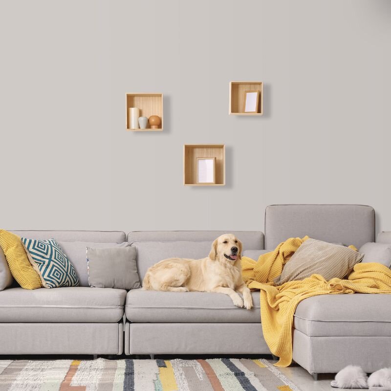 Wandfarbe Hellgrau Beige-Grau Moon 2B Wallcover Colors S 2002-Y50R 5 Liter