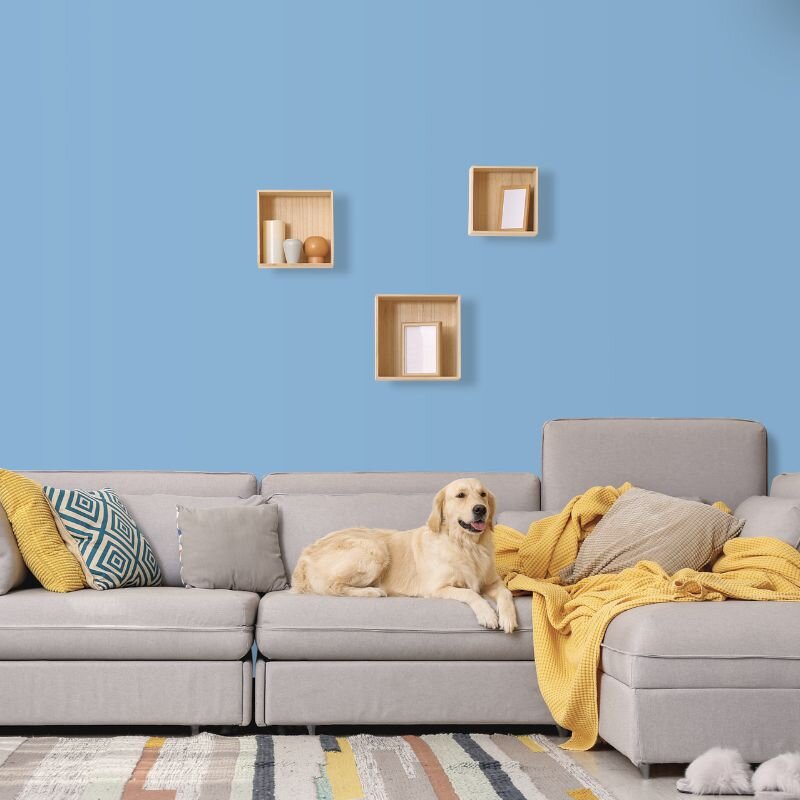 Wandfarbe Hellblau Himmelblau Pazifik 2C Wallcover Colors S 2030-R80B 5 Liter