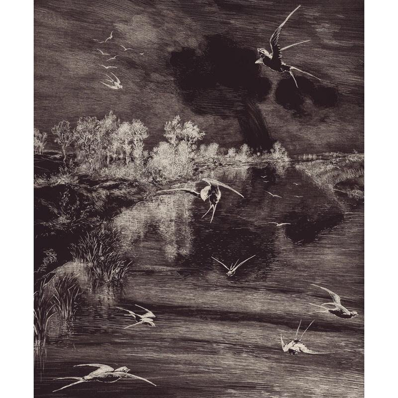 Digitaldruck-Tapete Schwarz, Anthrazit Eijffinger (1021145)