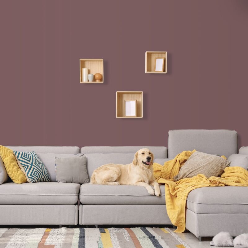 Wandfarbe Mauve Malve Violett Piccadilly 5E Wallcover Colors S 5020-R10B 5 Liter