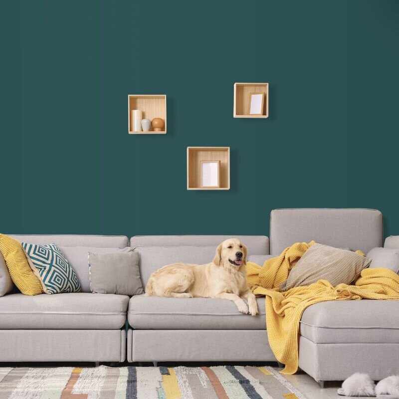 Wandfarbe Teal Petrol Blaugrün Margarita 5F Wallcover Colors S 7010-B30G 5 Liter