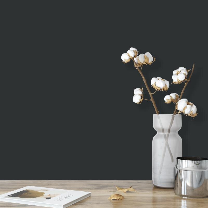 Wandfarbe Grau Schwarzgrau Moon 6F Wallcover Colors S 8005-B80G 5 Liter