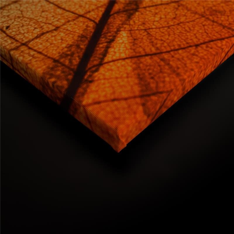 A.S. Création Leinwandbild LimpidLeaf2 Größe 90cm x 60cm
