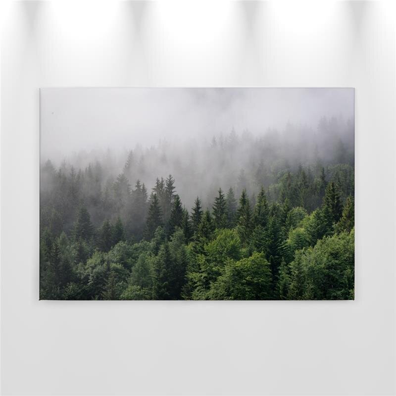 A.S. Création Leinwandbild FoggyFirTrees Größe 90cm x 60cm