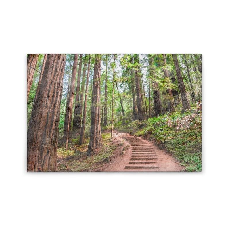 A.S. Création Leinwandbild ForestWalk1 Größe 90cm x 60cm