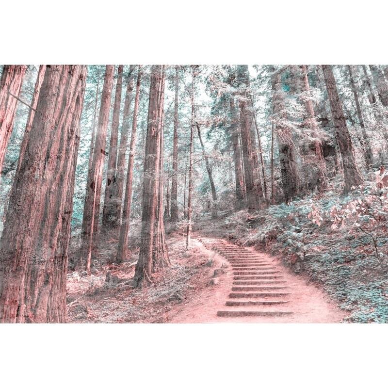 A.S. Création Leinwandbild ForestWalk2 Größe 90cm x 60cm