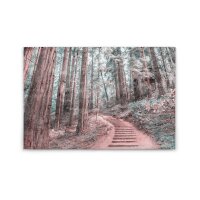 A.S. Cr&eacute;ation Leinwandbild ForestWalk2...