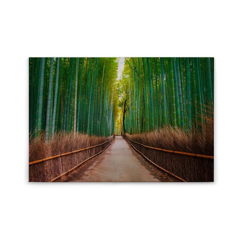 A.S. Création Leinwandbild BambusWalk Größe 90cm x 60cm