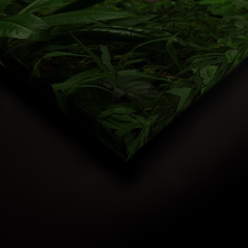 A.S. Création Leinwandbild TropicalForest Größe 90cm x 60cm