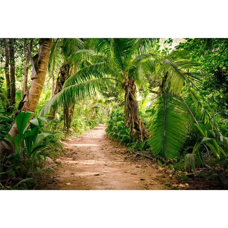 A.S. Création Leinwandbild PalmWalk Größe 90cm x 60cm