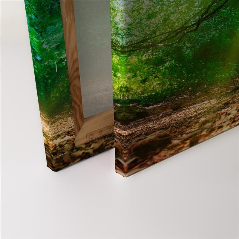 A.S. Création Leinwandbild ForestLight Größe 90cm x 60cm