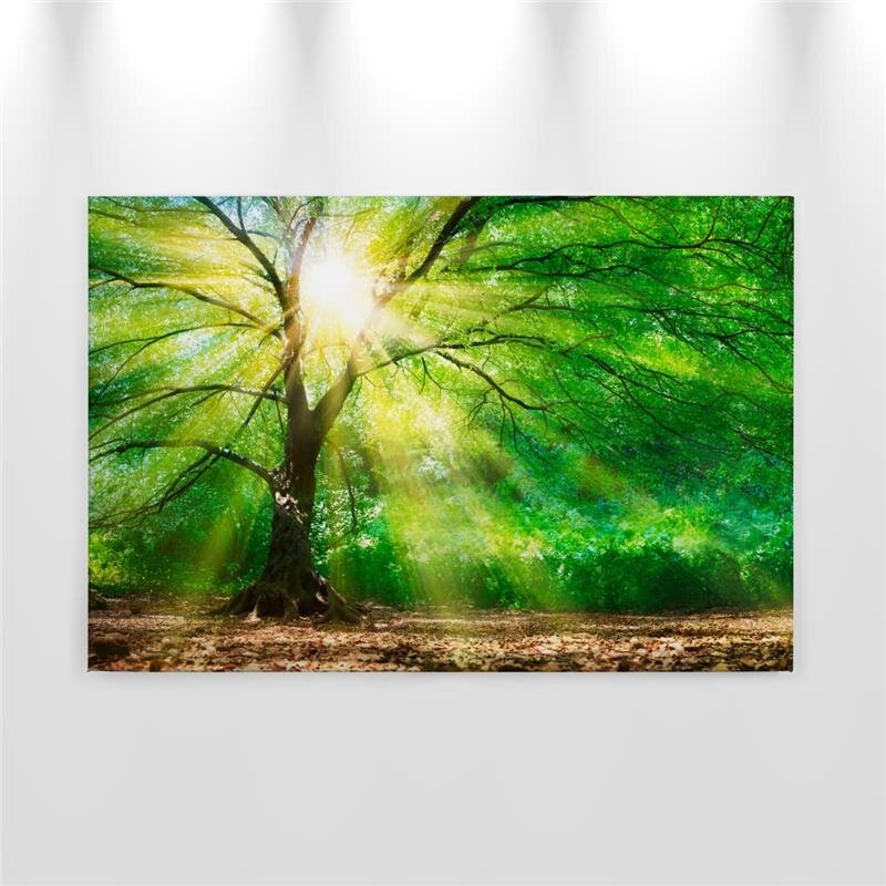 A.S. Création Leinwandbild ForestLight Größe 90cm x 60cm