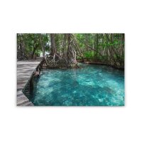 A.S. Cr&eacute;ation Leinwandbild DschunglePath...