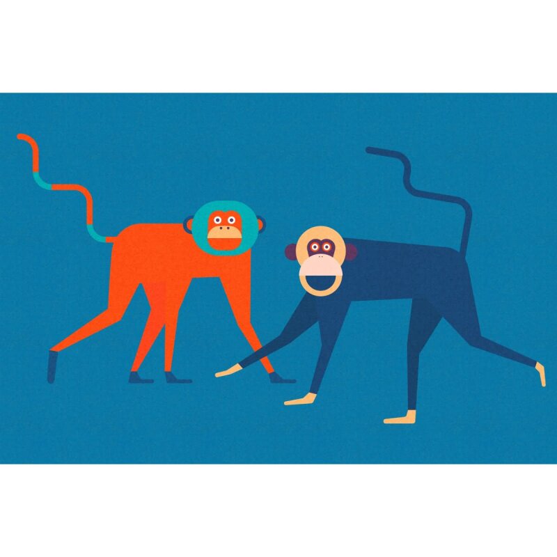 A.S. Création Leinwandbild monkeybusiness2 Größe 90cm x 60cm