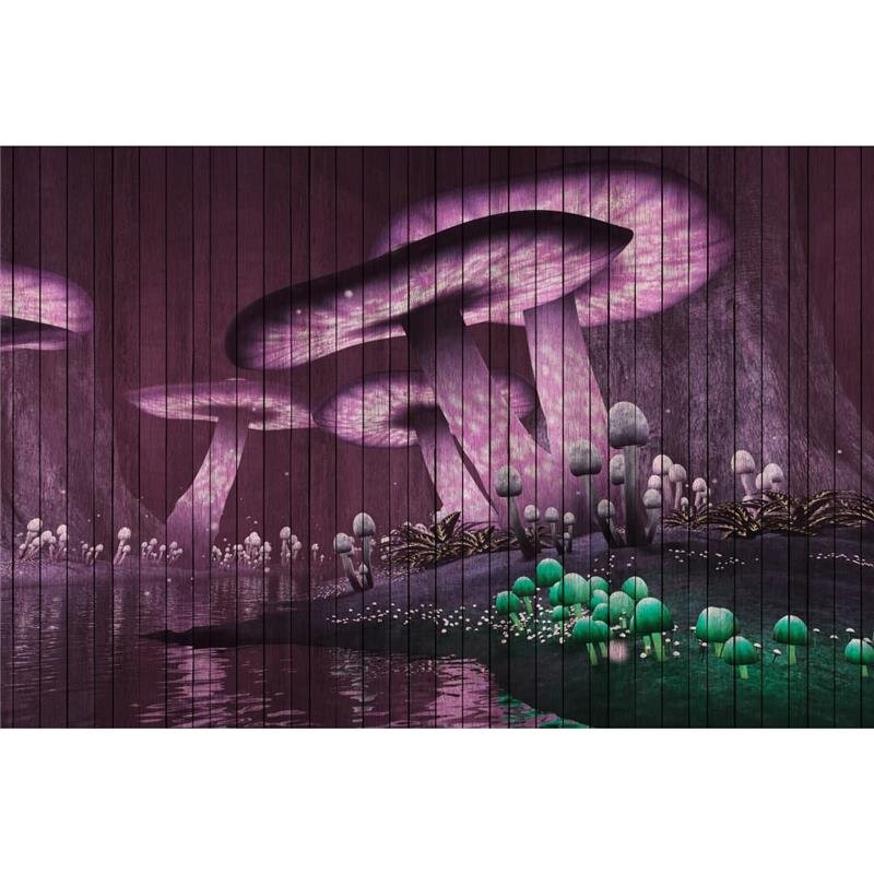 A.S. Création Leinwandbild fantasy2 Größe 90cm x 60cm