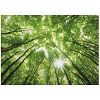 A.S. Cr&eacute;ation Leinwandbild TreetopsForest...