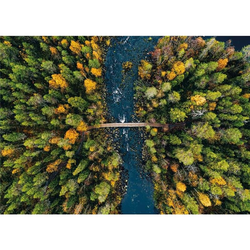 A.S. Création Leinwandbild AutumnFinland Größe 70cm x 50cm