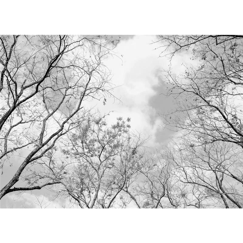 A.S. Création Leinwandbild Tree tops Größe 70cm x 50cm