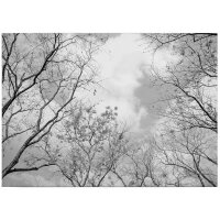 A.S. Cr&eacute;ation Leinwandbild Tree tops...