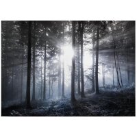 A.S. Création Leinwandbild Sun rays...