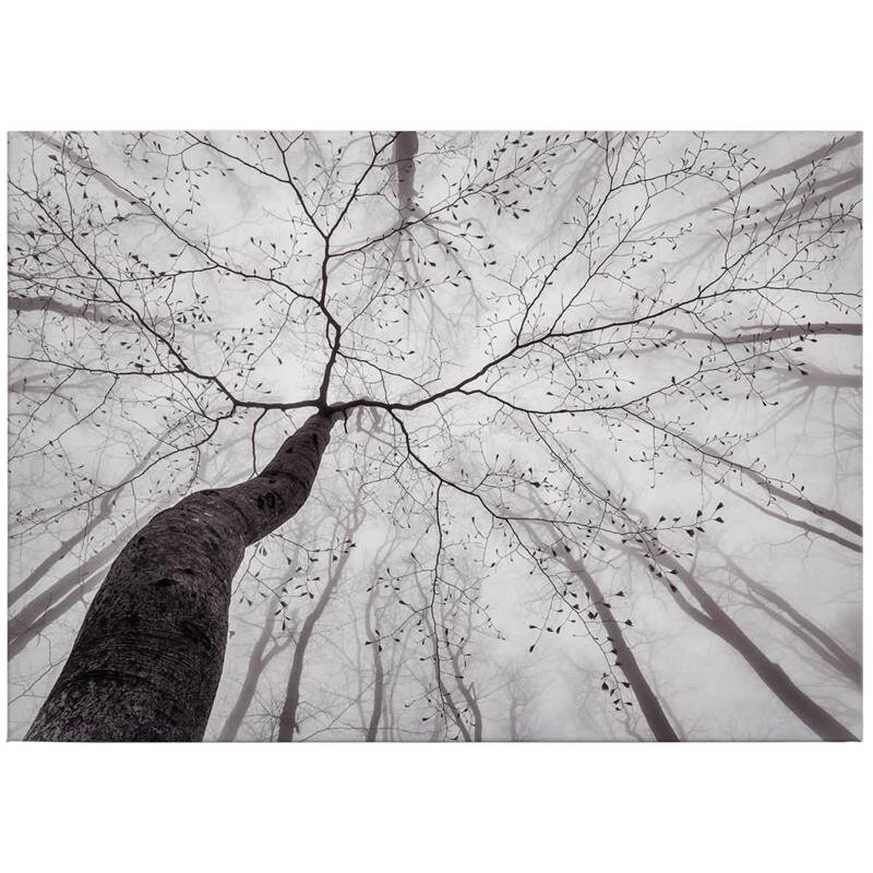 A.S. Création Leinwandbild Pavlasek Größe 70cm x 50cm