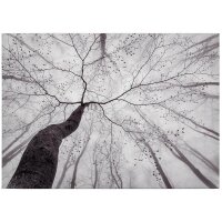 A.S. Cr&eacute;ation Leinwandbild Pavlasek...