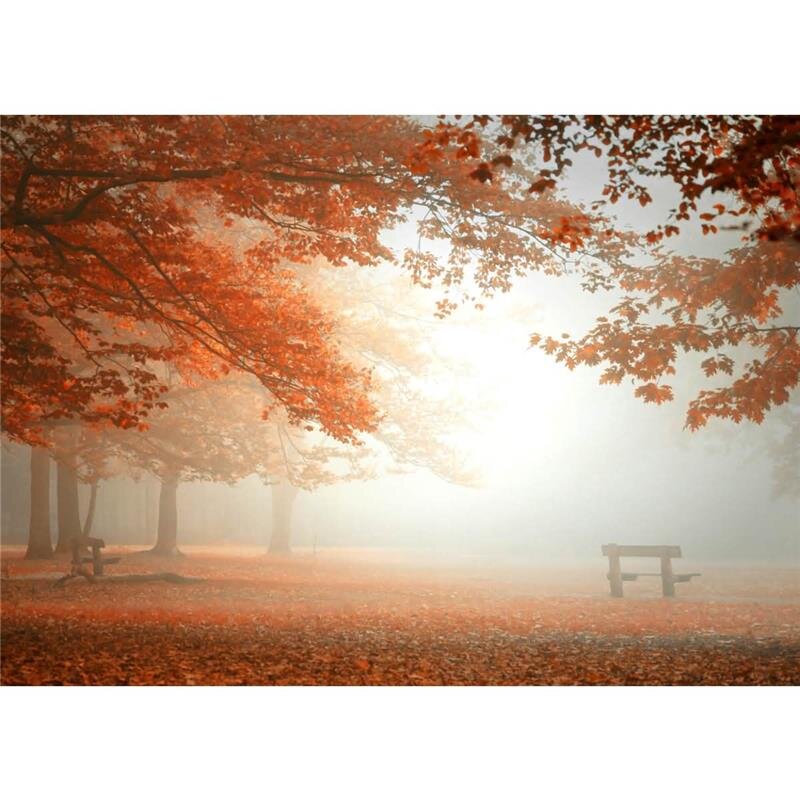 A.S. Création Leinwandbild ForestAtRest Größe 70cm x 50cm