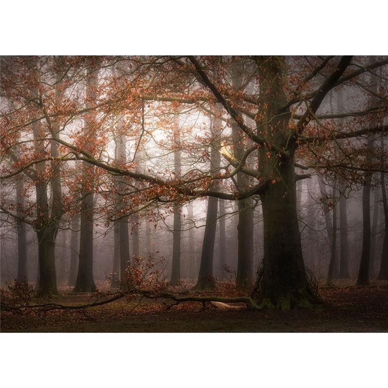 A.S. Création Leinwandbild Dingemans Größe 70cm x 50cm