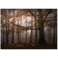 A.S. Cr&eacute;ation Leinwandbild Dingemans...