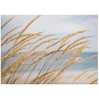 A.S. Cr&eacute;ation Leinwandbild Dune grass...
